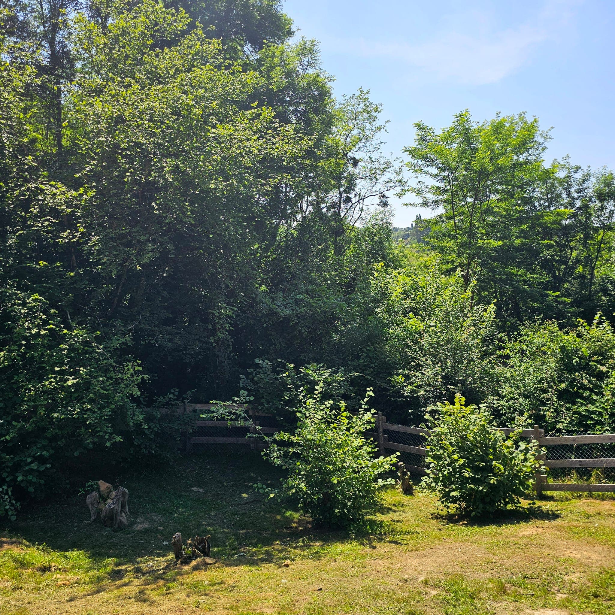 Parc de jeux