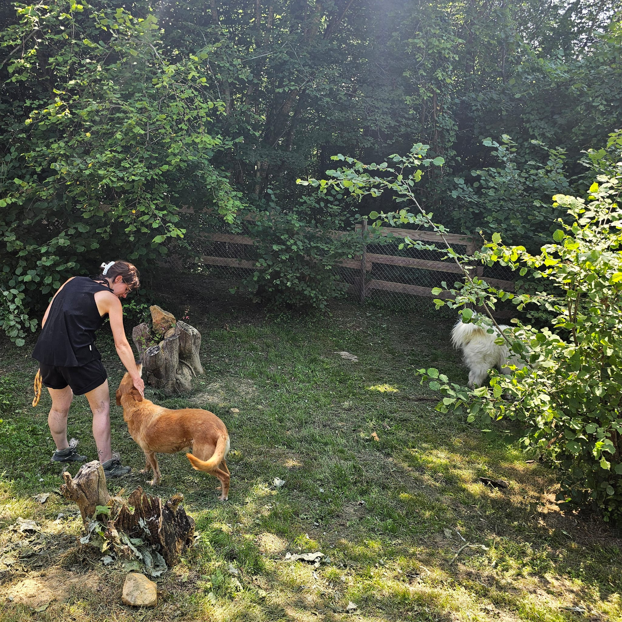 La Colo des Labassères - Photo 6